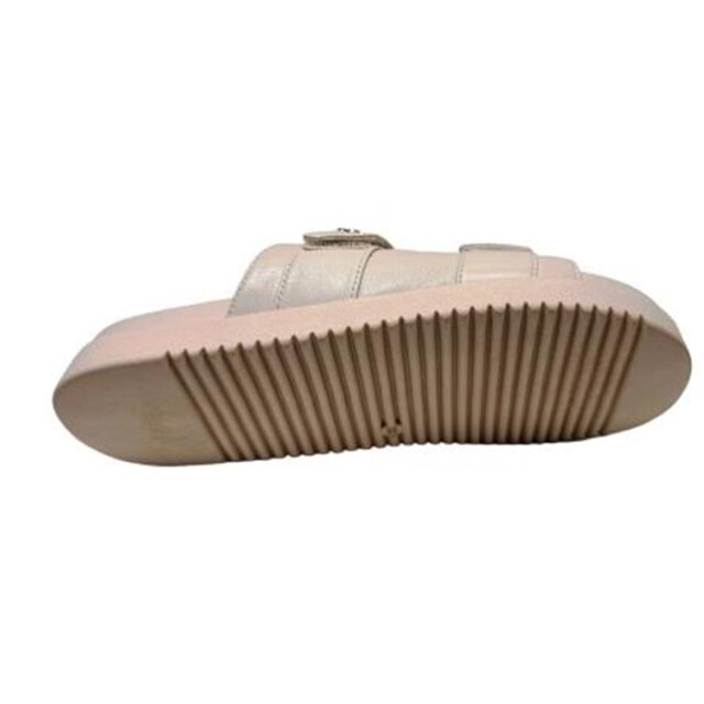 Cycleur de Luxe Cdlw241934 CDLW241934 large
