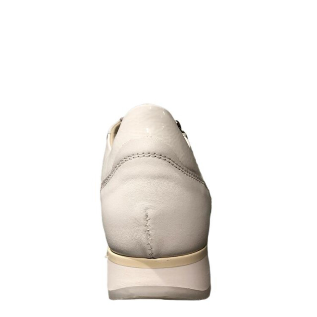 DL Sport 6216 6216 large