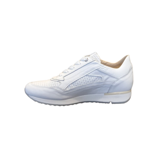 DL Sport 6216 6216 large