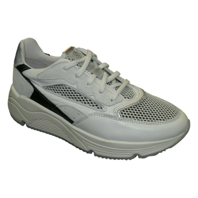 Giga G4257 G4257 large