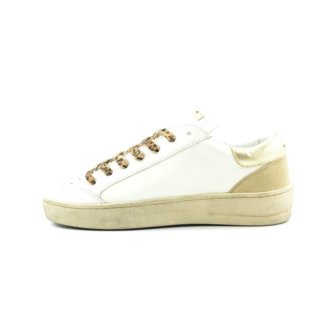 AMA brand 2762 2762 large