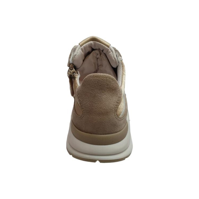 Gattino G6355 G6355 large
