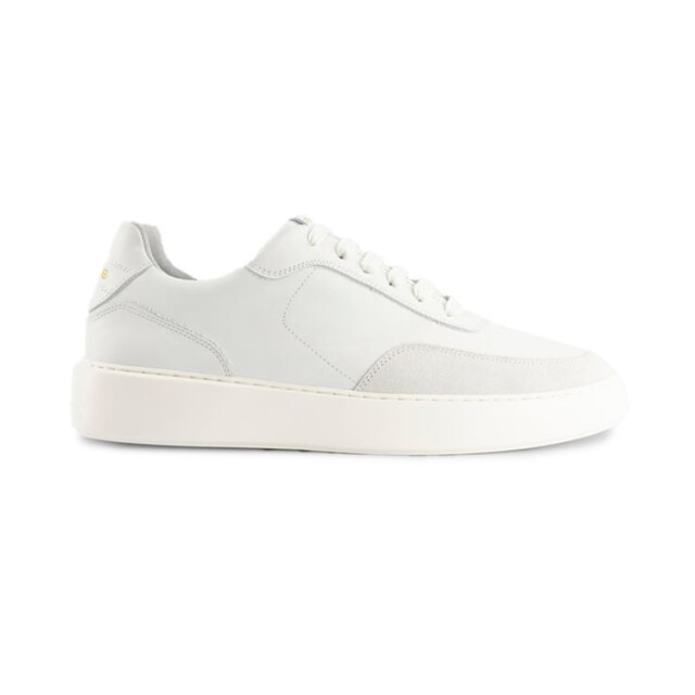 Rehab Taylor TAYLOR large