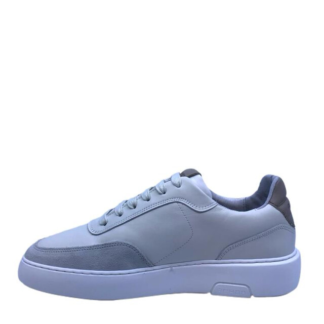 Rehab Taylor TAYLOR large