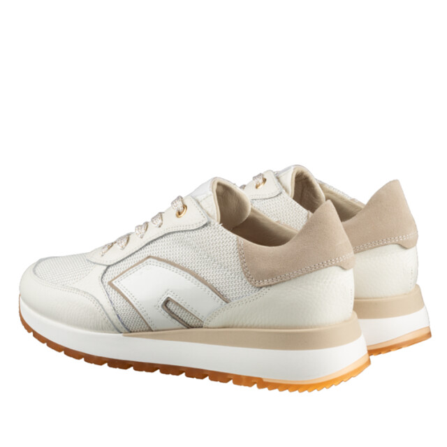DL Sport 6225 6225 large