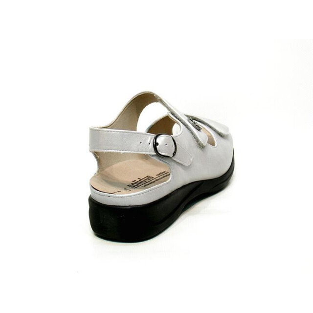 Solidus 73085 73085 Lia large