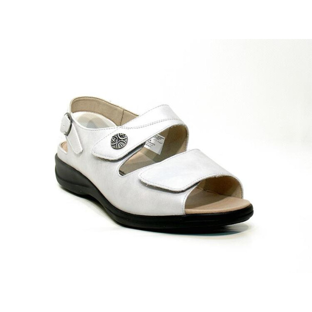 Solidus 73085 73085 Lia large