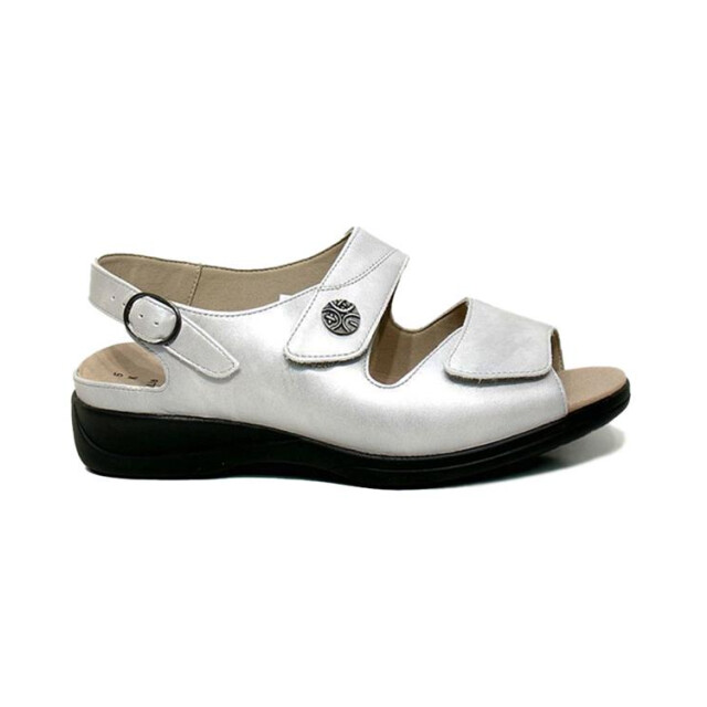 Solidus 73085 73085 Lia large