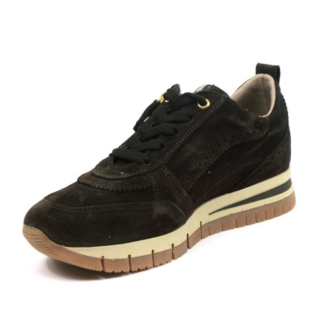 DL Sport 5826 5826 large