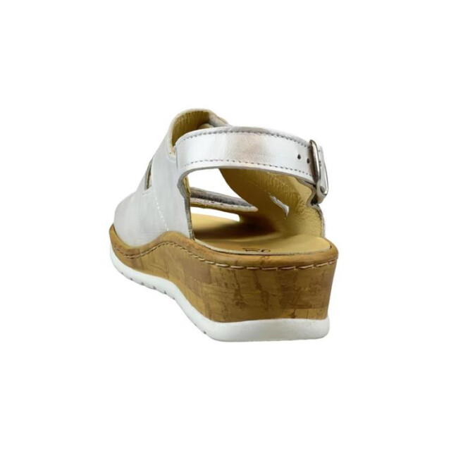 Longo 1071623 1071623 large