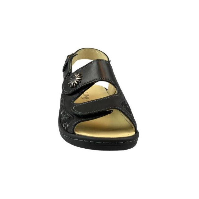 Longo 1093904 1093904 large