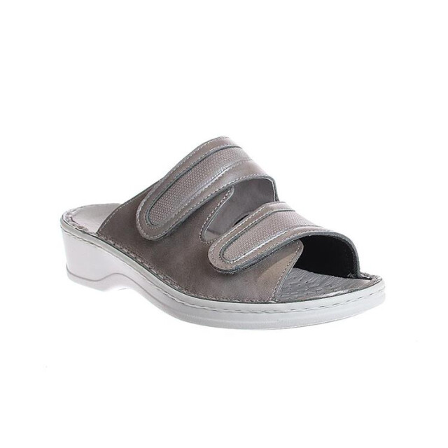 Stuppy 1538 1538 large