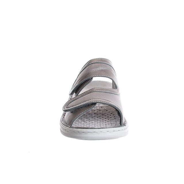 Stuppy 1538 1538 large
