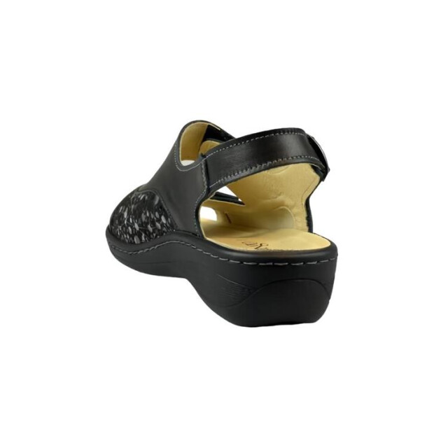 Longo 1093904 1093904 large