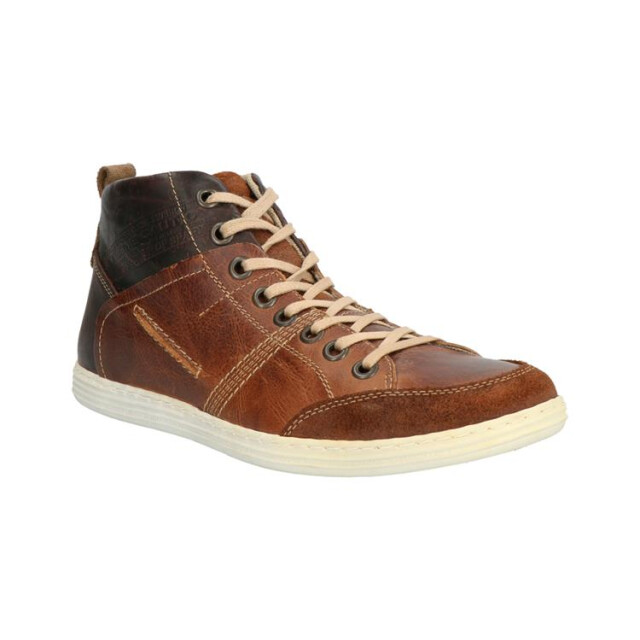 Bullboxer 499k529a 499K54229Abruin large