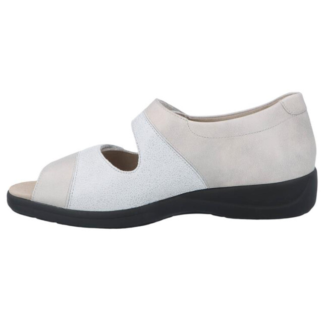 Solidus 73081 73081 Lia large Solidus 73081 73081 Lia large