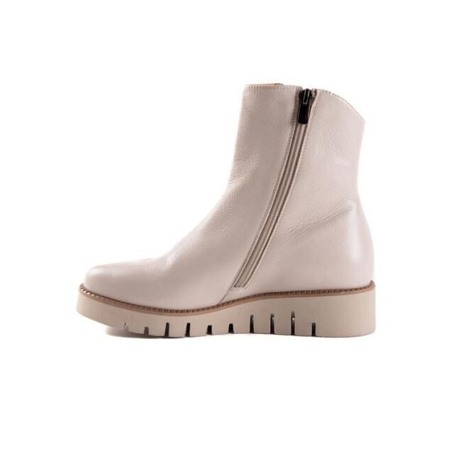 Footnotes 41.003 41.003 large
