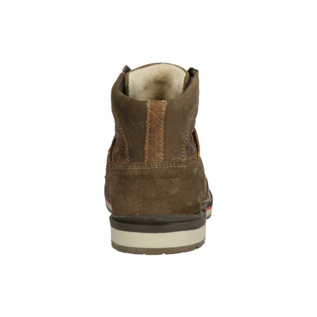 Bullboxer 265k53690c 265K53690Cbruin large