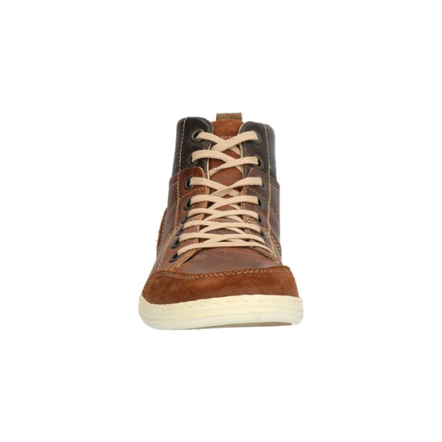 Bullboxer 499k529a 499K54229Abruin large