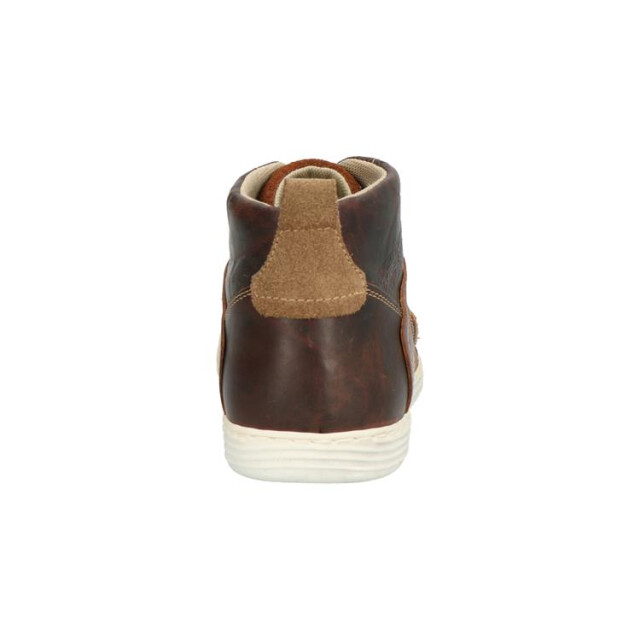 Bullboxer 499k529a 499K54229Abruin large