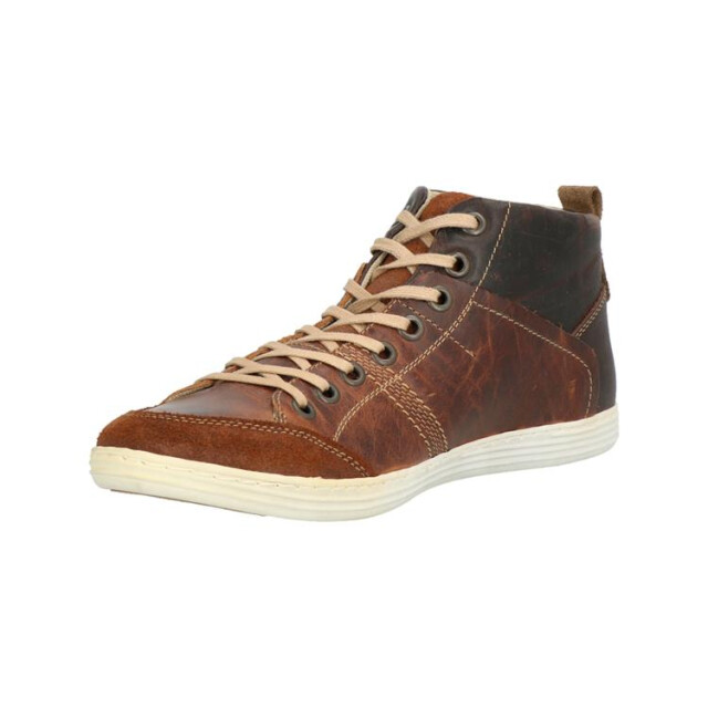 Bullboxer 499k529a 499K54229Abruin large