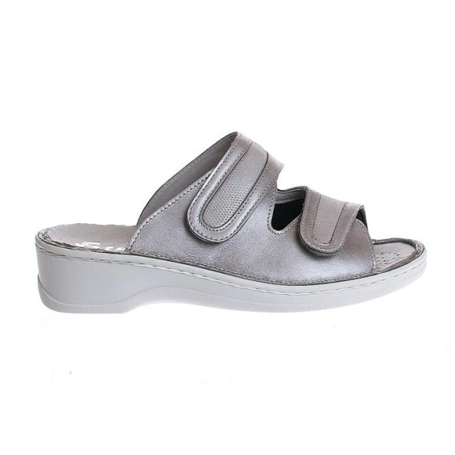 Stuppy 1538 1538 large