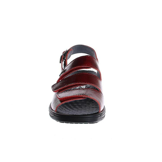 Stuppy 2835 2835 large