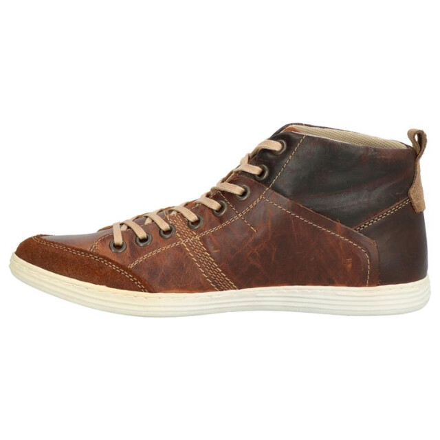 Bullboxer 499k529a 499K54229Abruin large