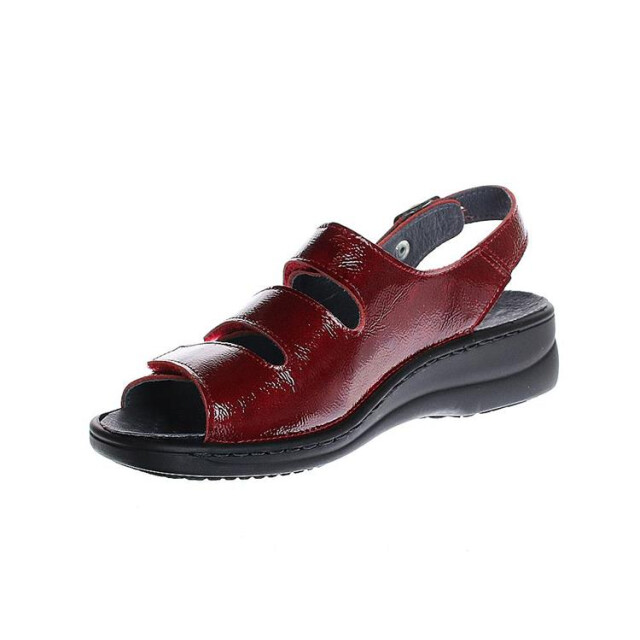 Stuppy 2835 2835 large