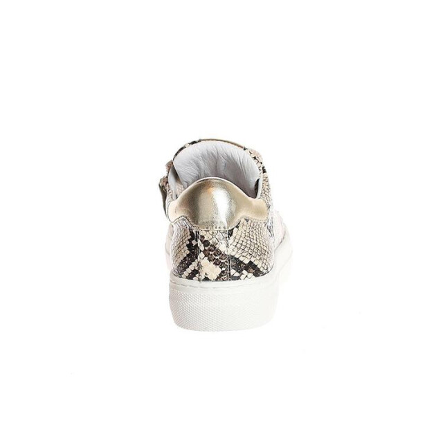 Clic! Cl-9493 CL-9493 large