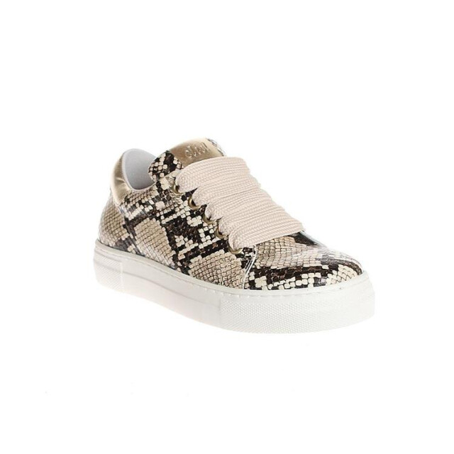 Clic! Cl-9493 CL-9493 large