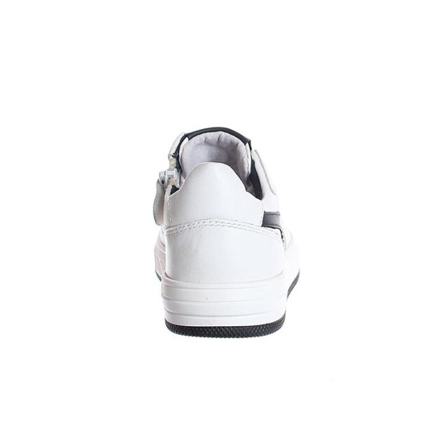 Gattino G1618 G1618 large