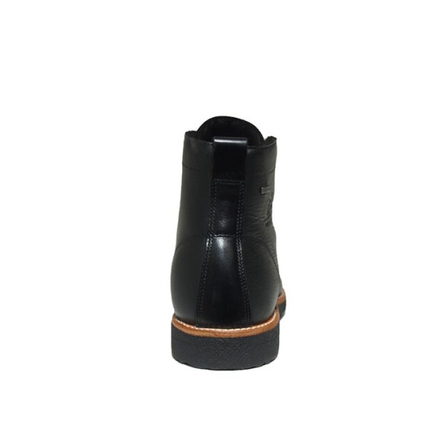 Panama Jack Glasgow Gtx Veterschoenen Zwart Glasgow Gtx large