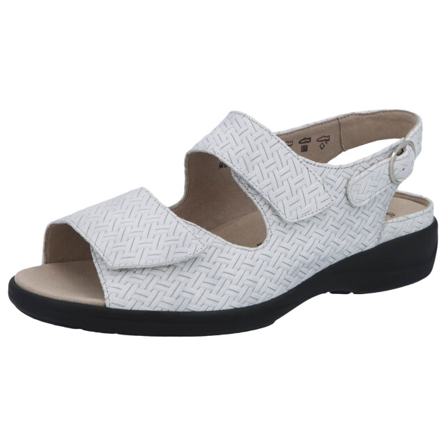 Solidus 73144-20825 lia 73144-20825 Lia large