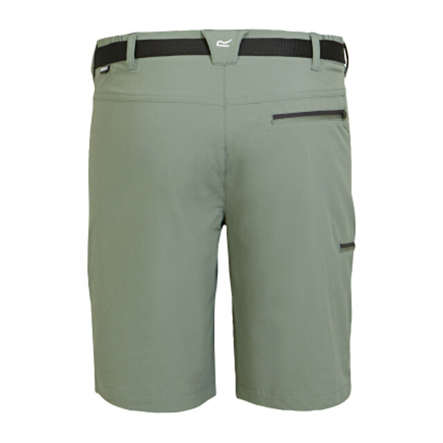 Regatta Heren xert iii stretch shorts UTRG4948_agavegreen large