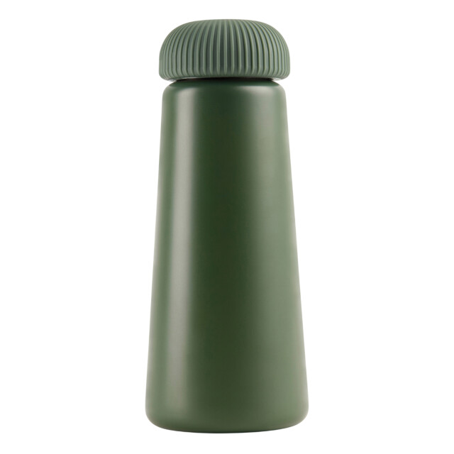 Vinga Erie gerecycleerde roestvrijstalen waterfles van 450 ml UTXD247_green large
