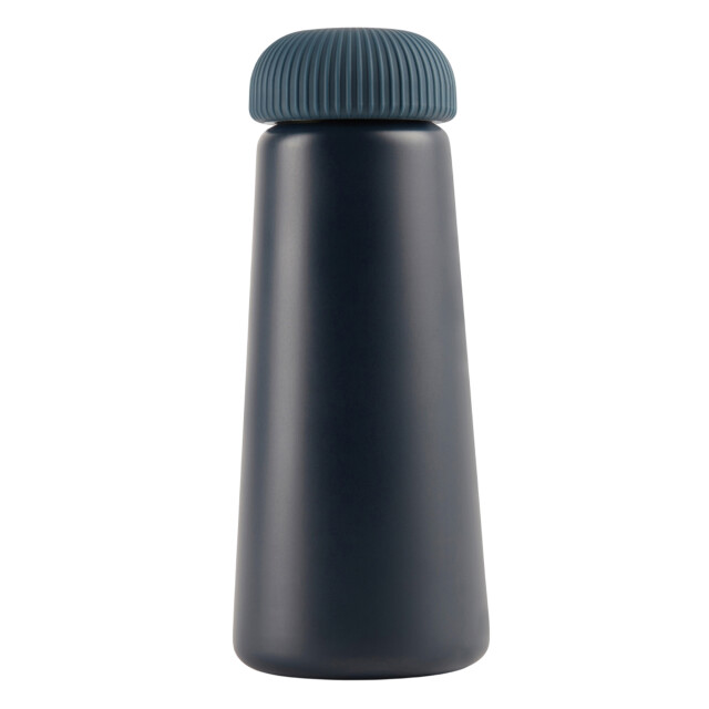 Vinga Erie gerecycleerde roestvrijstalen waterfles van 450 ml UTXD247_blue large
