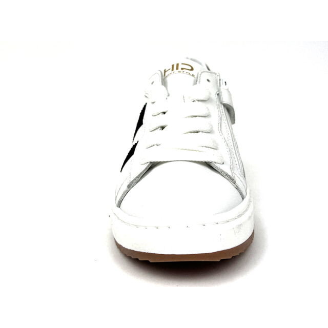 HIP H1811 H1811 large