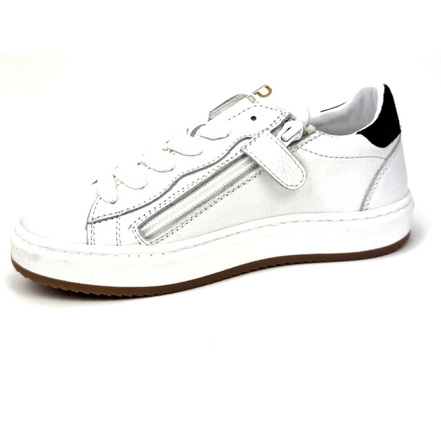 HIP H1811 H1811 large