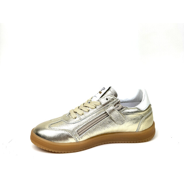 HIP H1511 H1511 large