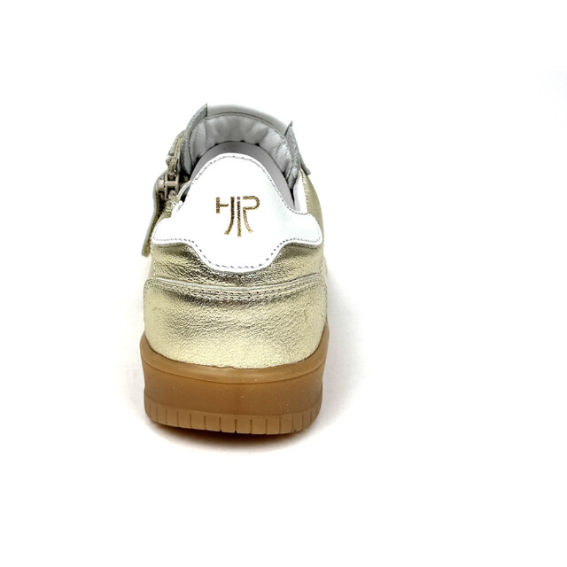 HIP H1511 H1511 large