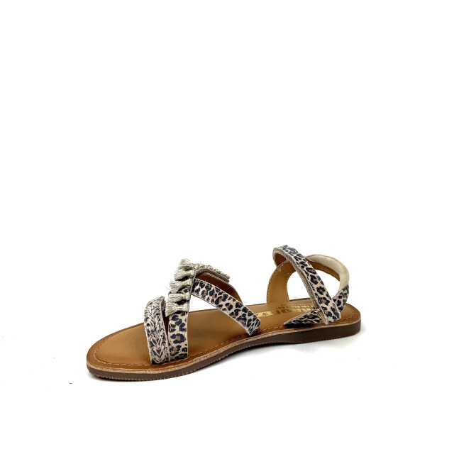 Braqeez 425018-506 425018-506 large