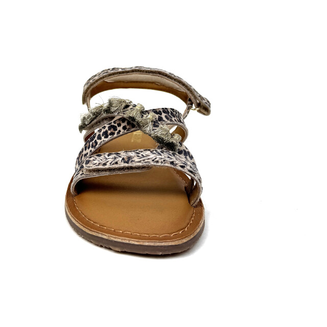 Braqeez 425018-506 425018-506 large