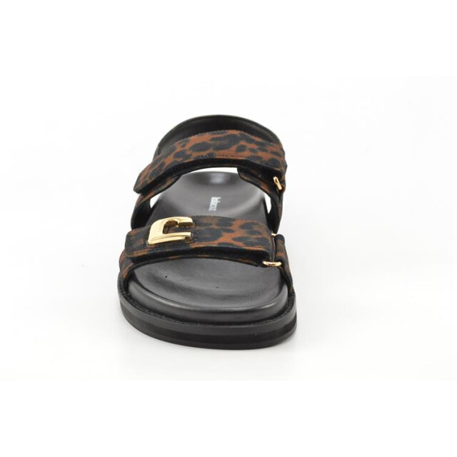 Lola Cruz 316z73bk 316Z73BK large
