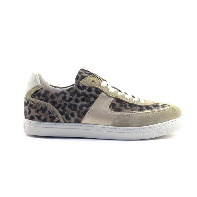 Floris van Bommel SFW-10096 Veterschoenen Taupe SFW-10096 large