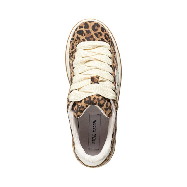 Steve Madden Alysha [sm11003383] Alysha [SM11003383] large