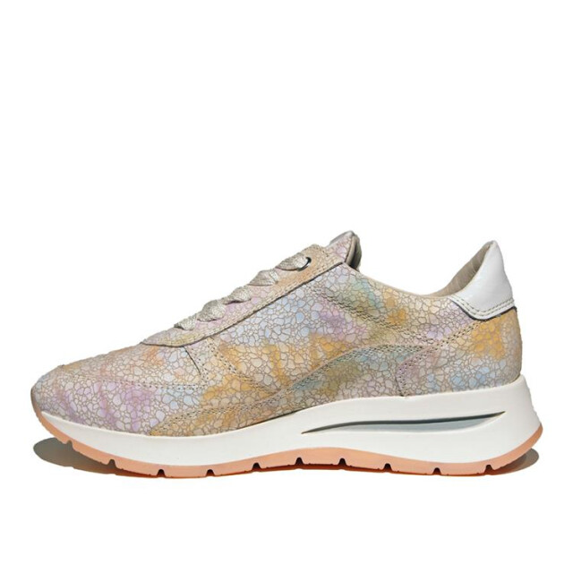 DL Sport 6561 6561 large