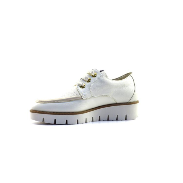 DL Sport 6582 6582 large