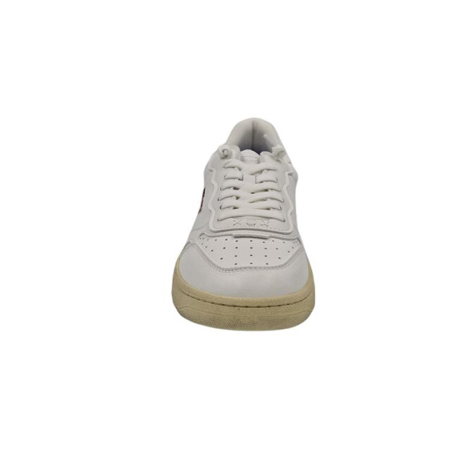 Maripé Mrp31 8 MRP31 8 large
