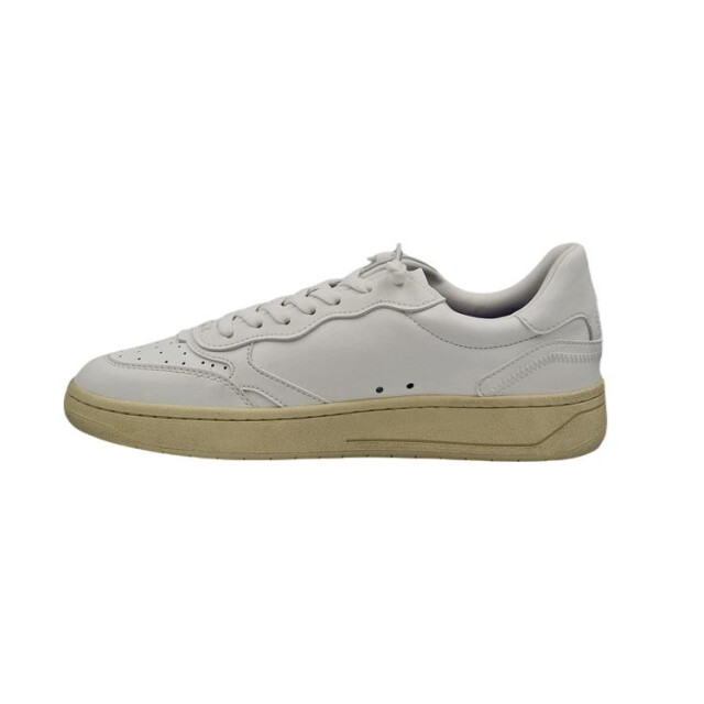 Maripé Mrp31 8 MRP31 8 large